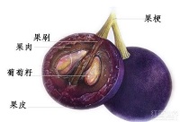 ѾƆΌϵĂf